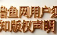 撸鱼网用户须知及版权声明