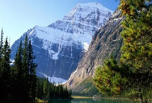 2026年4月起多家银行调整溢缴款政策,信用卡多还的钱取现是否还收手续费?