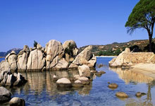 2026年4月起多家银行调整溢缴款政策,信用卡多还的钱取现是否还收手续费?